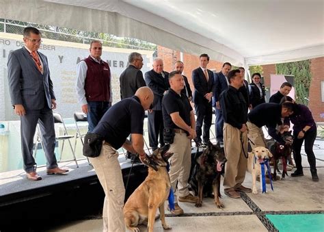 Embajada Eu En Mex On Twitter Seis Oficiales Caninos Entrenados En