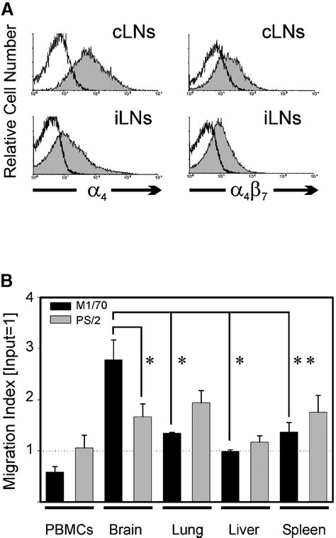 Homing Phenotypes Of Tumor Specific Cd8 T Cells Are Predetermined At