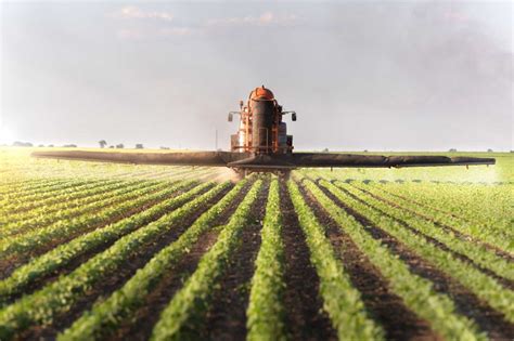 Agricultura Intensiva O Uso De Tecnologias E A Alta Produtividade No Campo