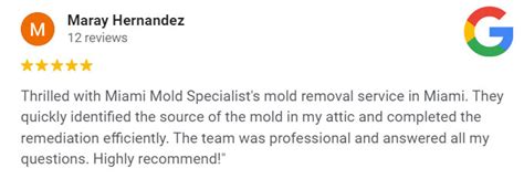 Miami Mold Specialists Mold Remediation Experts
