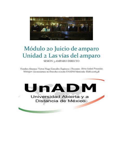 Módulo 20 Juicio De Amparo Unidad 2 Las Vías Del Amparo Sesión 5 Amparo Directo Pdf