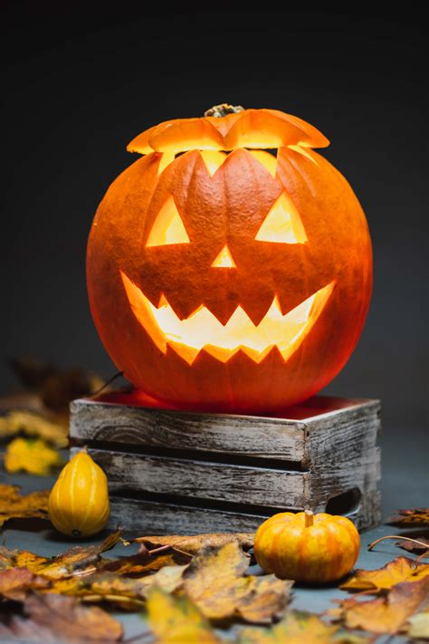 Download Halloween Pumpkin Pictures | Wallpapers.com