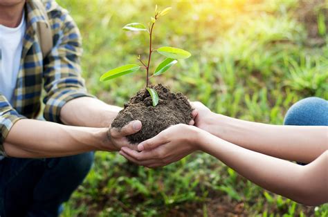 How To Start Your Own Tree Planting Project