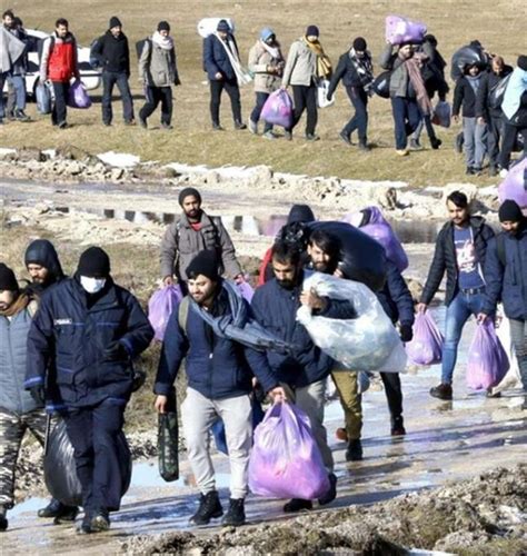 Tratta Dei Profughi Arrestato Cameriere