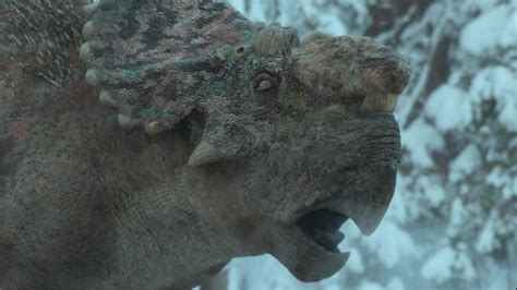 Pachyrhinosaurus Prehistoric Planet Wiki Fandom