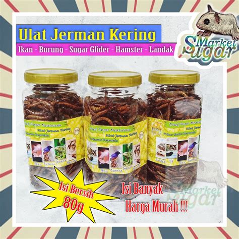 Jual Extra Banyak Ulat Jerman Kering Dry Super Worm Makanan Hewan