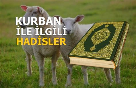 Kurban İbadetinin Önemi İle İlgili Bir Hadis Yaşam