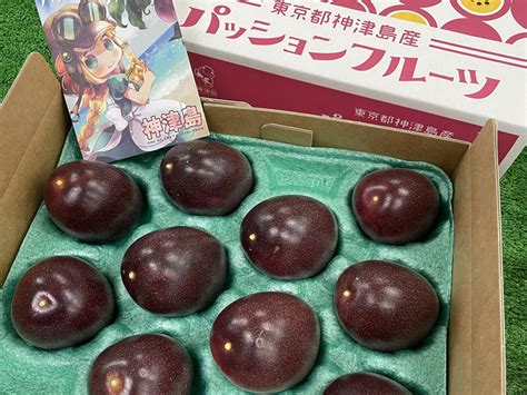 希少神津島産パッションフルーツ2kg伊豆諸島からお届け：東京都産の果物｜食べチョク｜産地直送産直お取り寄せ通販 農家・漁師から旬の食材を直送