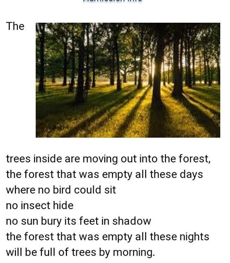 The Trees Poem Class 10 First Stanza Explanation