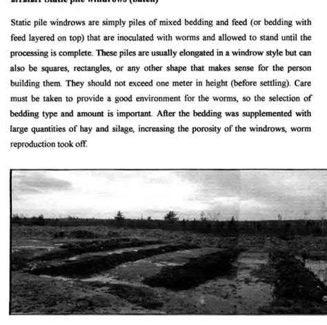Windrows An Overview Of Vermicomposting Systems