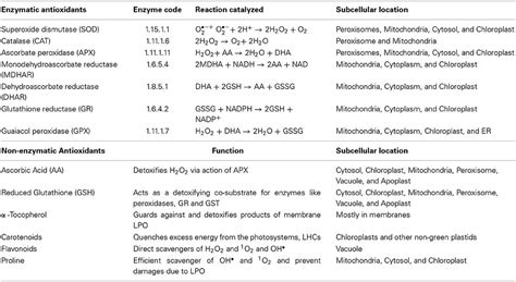 List Of All The Enzymatic And Non Enzymatic Antioxidants Along With