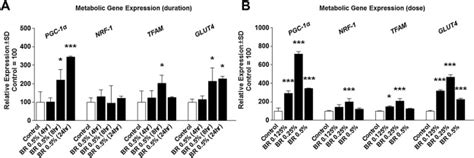 Metabolic Gene Expression A Expression Of Peroxisome Download