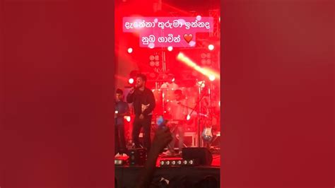 දිනේශ් ගමගේ දැනේනා තුරු මා 😍🔥 Youtube