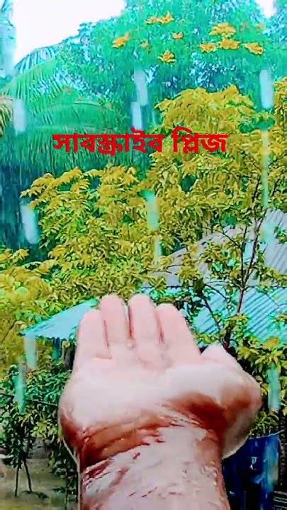 সকাল থেকে আমাদের এখানে অনেক বৃষ্টি হচ্ছে 🌧️☂️⛈️🌧️☂️☂️ Youtube