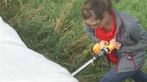 Vita Plus Forage Foundations Forage Sampling Series Baled Hay