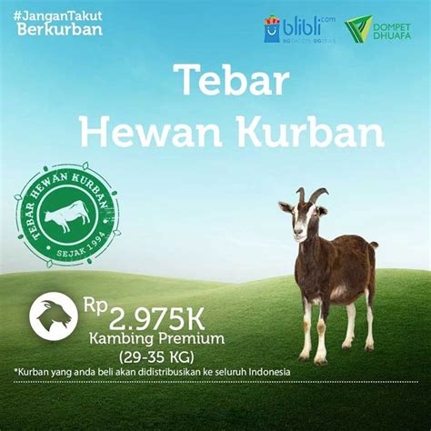 Jual Dompet Dhuafa Kurban Kambing Premium Di Seller Dompet Dhuafa