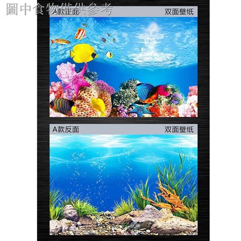 魚缸背景貼紙3d立體背景圖高清水族魚缸壁紙造景裝飾畫珊瑚石紙畫 蝦皮購物