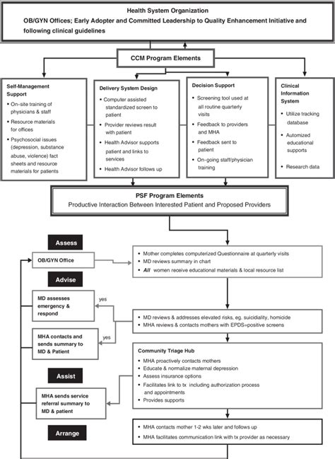 The Perinatal Mental Health Model Ccm Chronic Care Model Epds