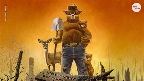 Smokey Bear Birthday 75 Years Of The Fire Prevention Mascot