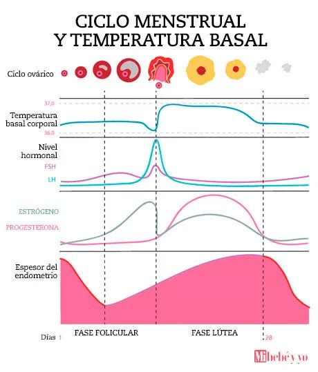 Temperatura Basal Gynemed