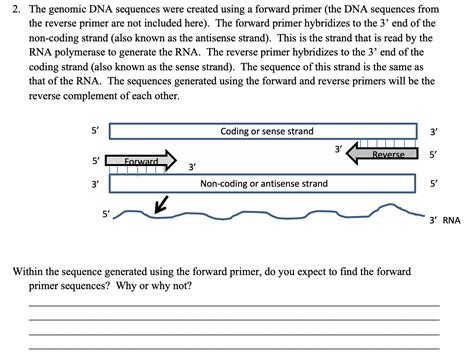 Solved 2. The genomic DNA sequences were created using a | Chegg.com