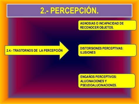 Tema 3 Procesos Cognitivos Basicos Sensacion Percepcion Y Memori