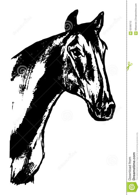 Horse Head Graphic Design Stock Vector Illustration Of Mane