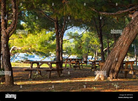 Table Under Trees High Resolution Stock Photography And Images Alamy