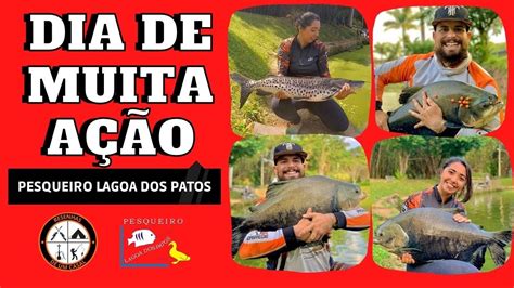 PESQUEIRO LAGOA DOS PATOS DIA DE MUUUUITA AÇÃO ESTREIAMOS OS