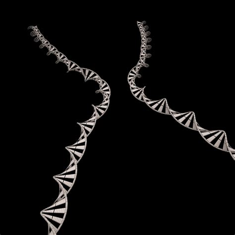 chromosome 3d model