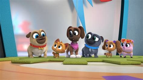 Puppy Dog Pals Season 5 is Here! - MickeyBlog.com