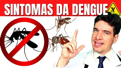 Sintomas Da Dengue Principais Sinais E Sintomas Da Dengue Clássica E