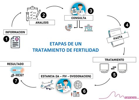 Etapas Para Un Tratamiento De Fertilidad A Distancia En El Centro