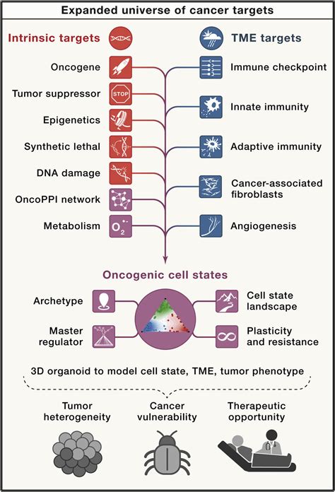 A Broader Spectrum Of Cancer Targets Nci