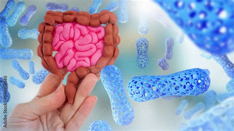 Microbiome Body Model Of Intestinal Tract In Hand Molecules Microbiome Or Probiotics