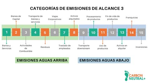 ¿qué Es El Alcance 3 De La Huella De Carbono Carbon Neutral