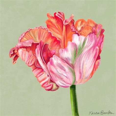 Parrot Tulip Art Print - Karen Burton