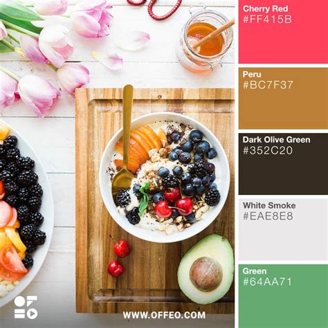 25 Vibrant Food Color Palettes For Food Photography Offeo