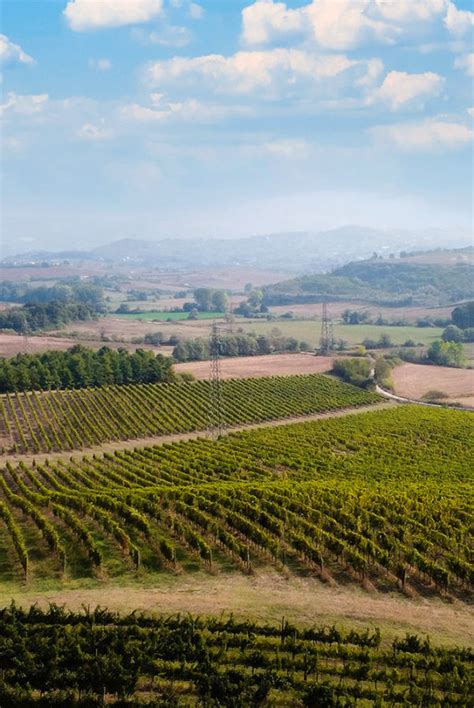 Il Cesanese Del Piglio Strada Del Vino Cesanese