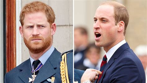 Prince Harrys Outburst With Prince William Left Diana Shocked