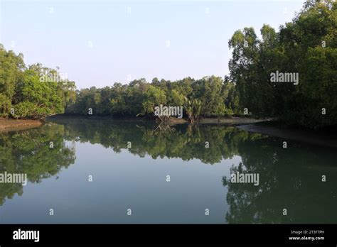 A Canal In Sundarbanssundarbans Is The Biggest Natural Mangrove Forest