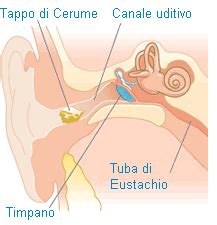 Cerume