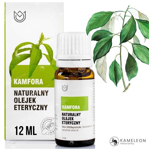 NATURALNY OLEJEK ETERYCZNY KAMFORA Drogi Oddechowe 12ml