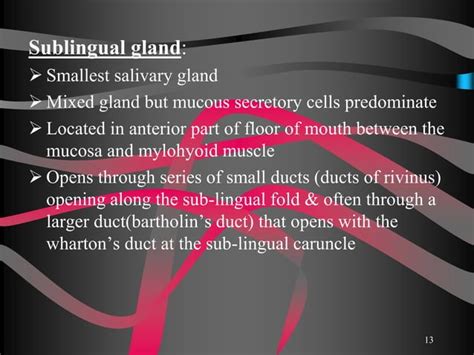 Saliva And Salivary Gland Ppt