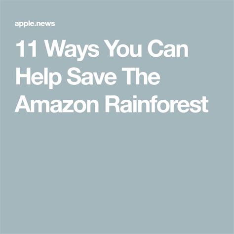 11 Ways You Can Help Save The Amazon Rainforest — Buzzfeed Amazon