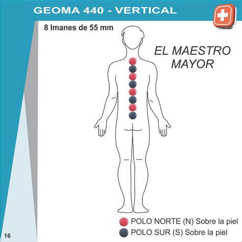 Centro Magnético CURSO ONLINE EN BIOMAGNETISMO Centro Magnético