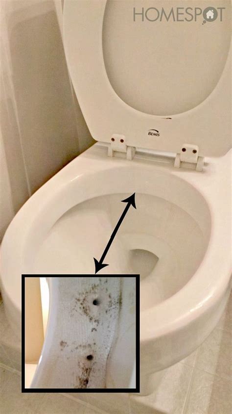 Keep a Toilet Clean (much longer) | Toilet cleaning, Cleaning hacks, House cleaning tips