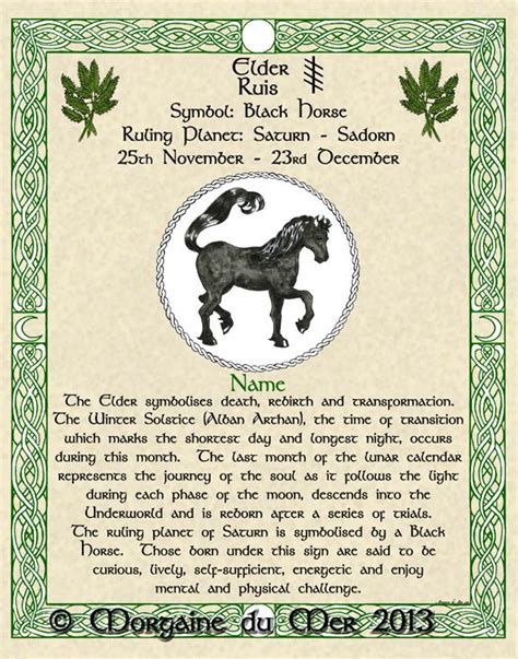 Celtic Zodiac Signs Celtic Zodiac Celtic Tree Astrology