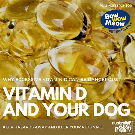 What Does Vitamin D Toxicity Cause In Dogs