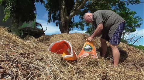 My Quest For Tinder I Found Piles Of Rice Grass Might Work Youtube